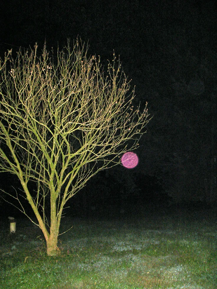 pink orb meaning