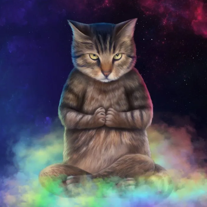 Spiritual connection with cats