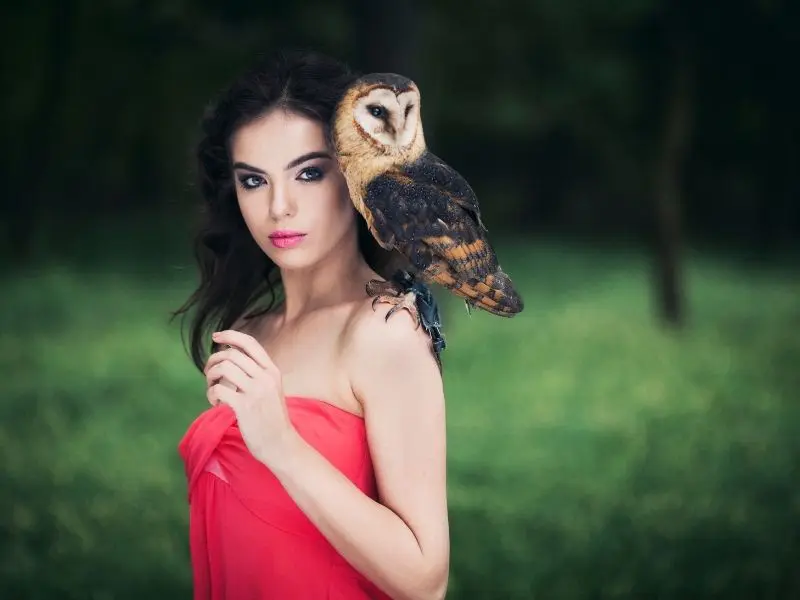 Owl twin flame meaning