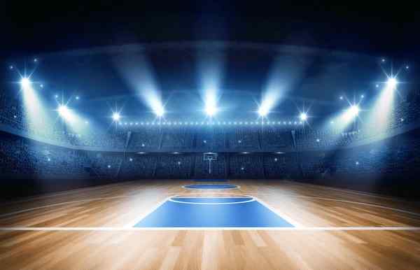 Dream of a Basketball Court