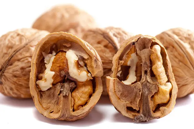 The Spiritual Meaning of Walnuts: Abundance