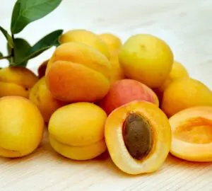 The Deeper Significance of Apricots: A Look Into Their Spiritual Meaning