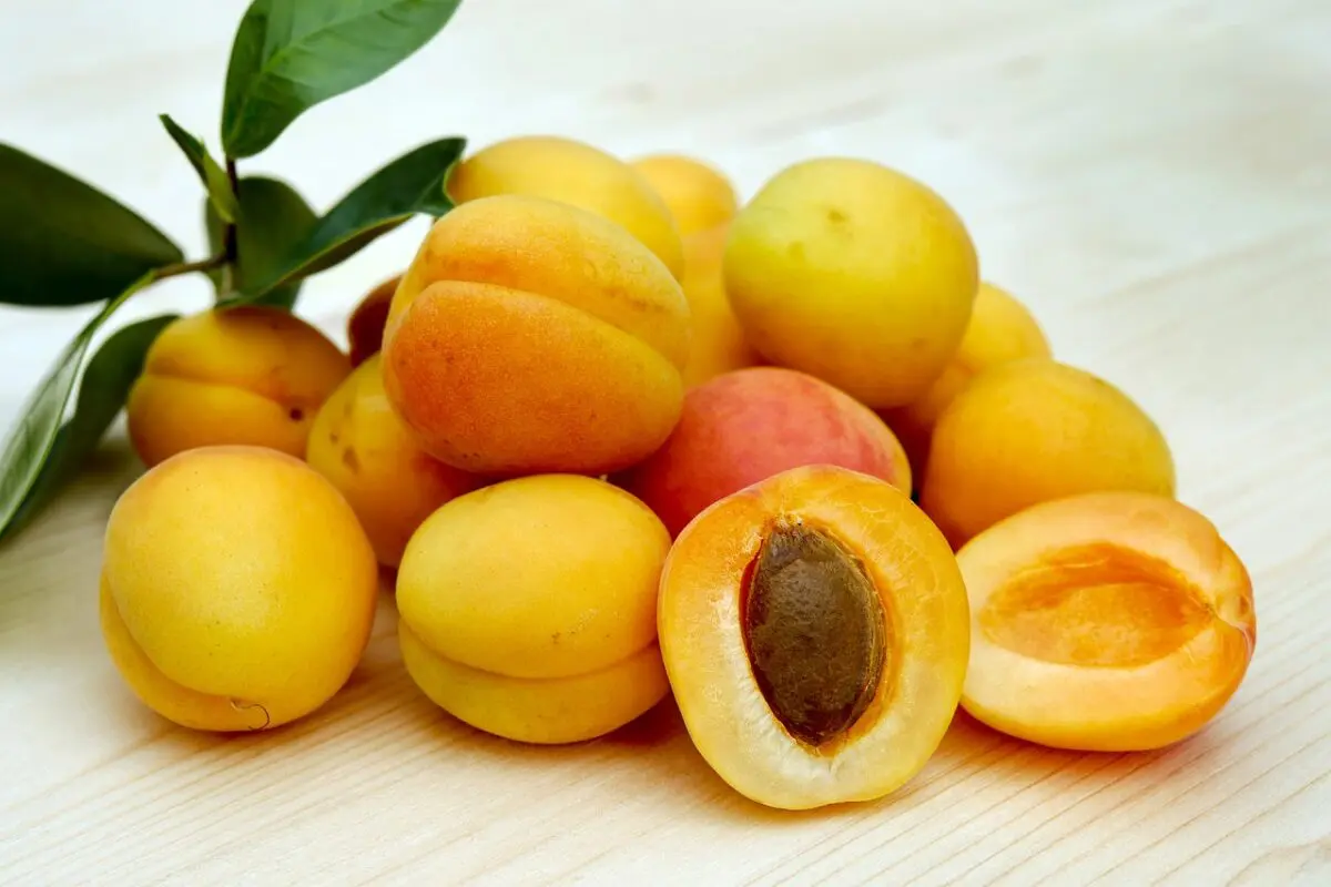 The Deeper Significance of Apricots: A Look Into Their Spiritual Meaning